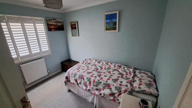 Room in lovely bright Seaford House Main Photo