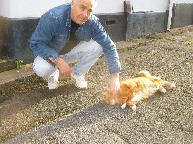 Quiet 2-bedroom residence -flat/house Main Photo