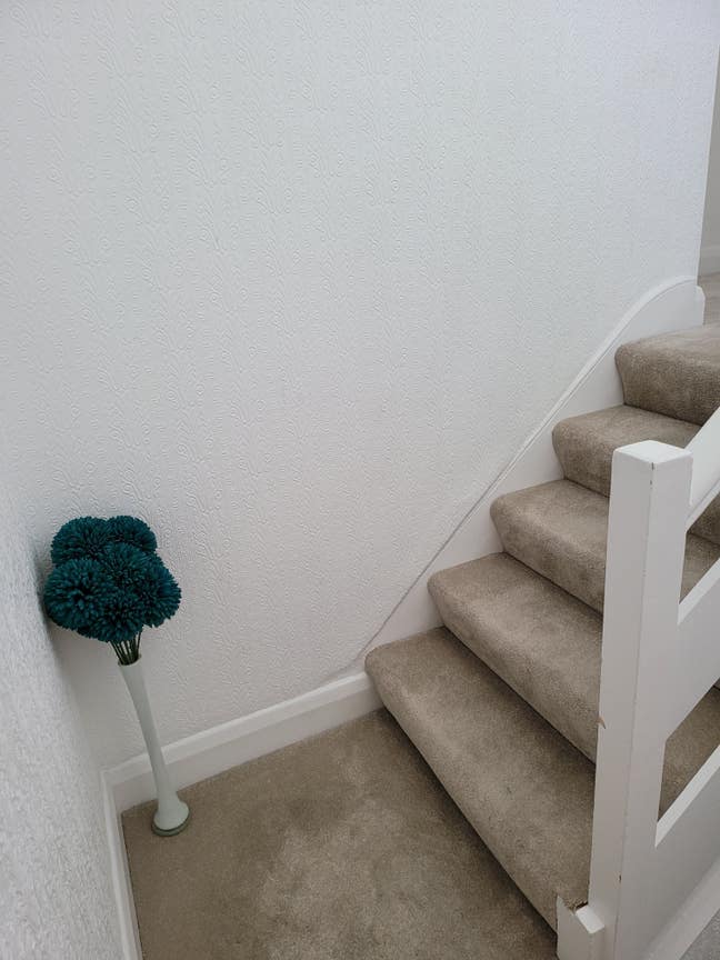 A bright and spacious room in Clapham North Main Photo