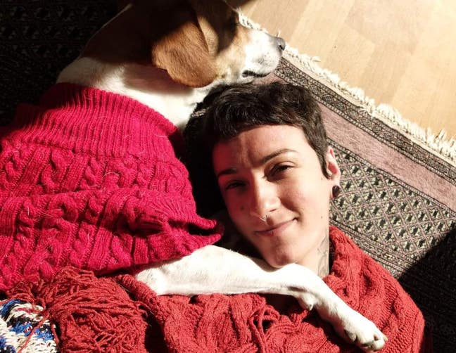 Looking for a new home WITH MY DOG Main Photo