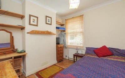 Lovely Room Vegan/Vegetarian House for Female Main Photo