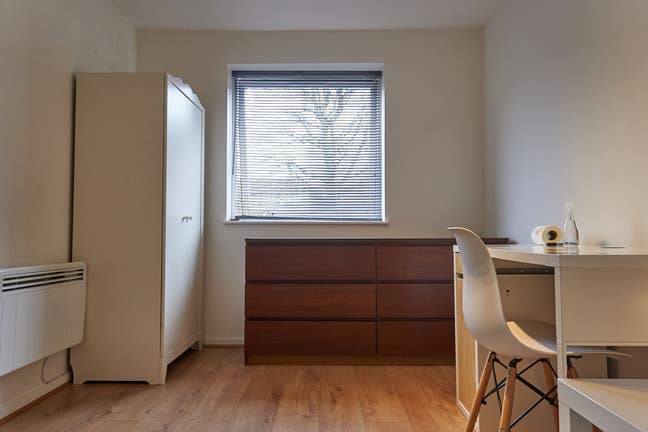 Clean and bright room- near dlr Main Photo