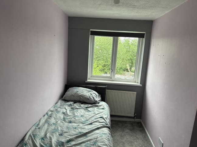 Room to rent  Main Photo
