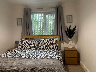 Double Room Available Main Photo
