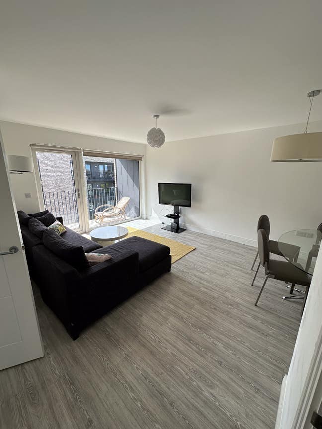 Looking for a New Flatmate Main Photo