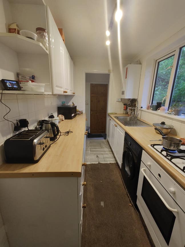Looking for female in single room  Main Photo