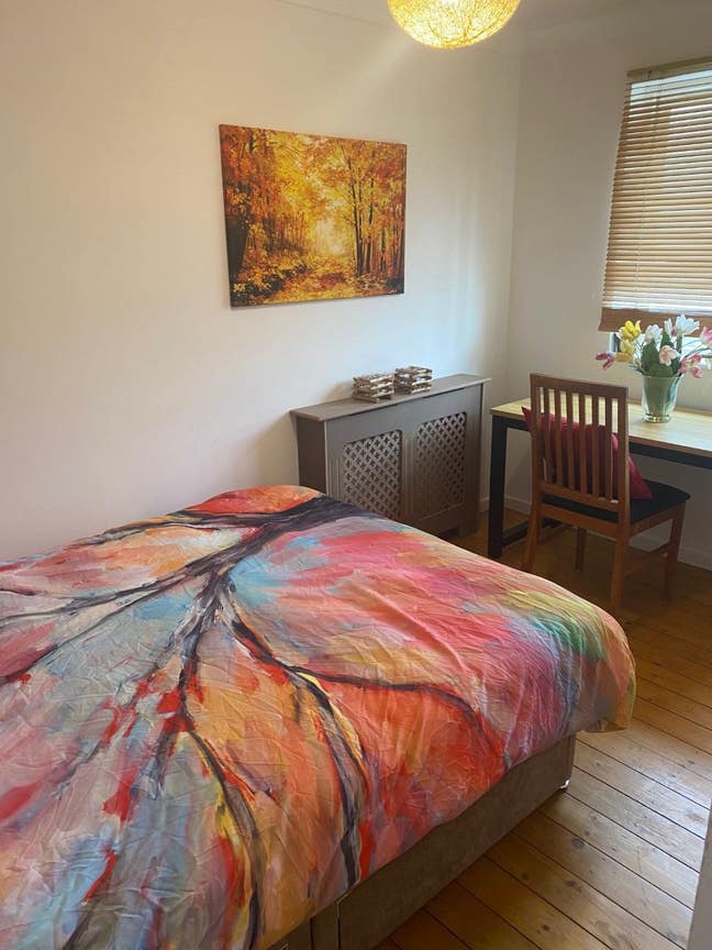 TO LET - double room in Walton on Thames Main Photo