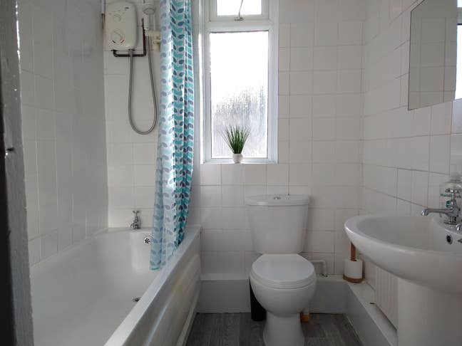 Single Room - Just off Gloucester Road - HOUSE CAT Main Photo