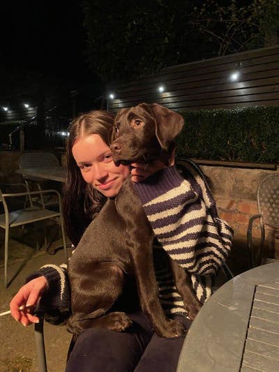 24 year old professional looking for room to rent Main Photo