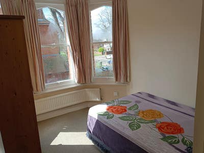 Room for 1 Female , Vegetarian Preferred Main Photo