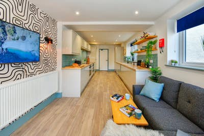 BRAND NEW Professional House Share Swansea Main Photo