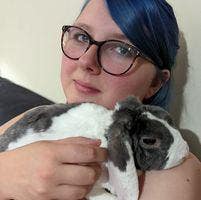 Looking for room or buddy up. Main Photo