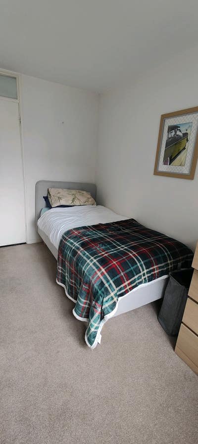 Looking for new flatmates  Main Photo