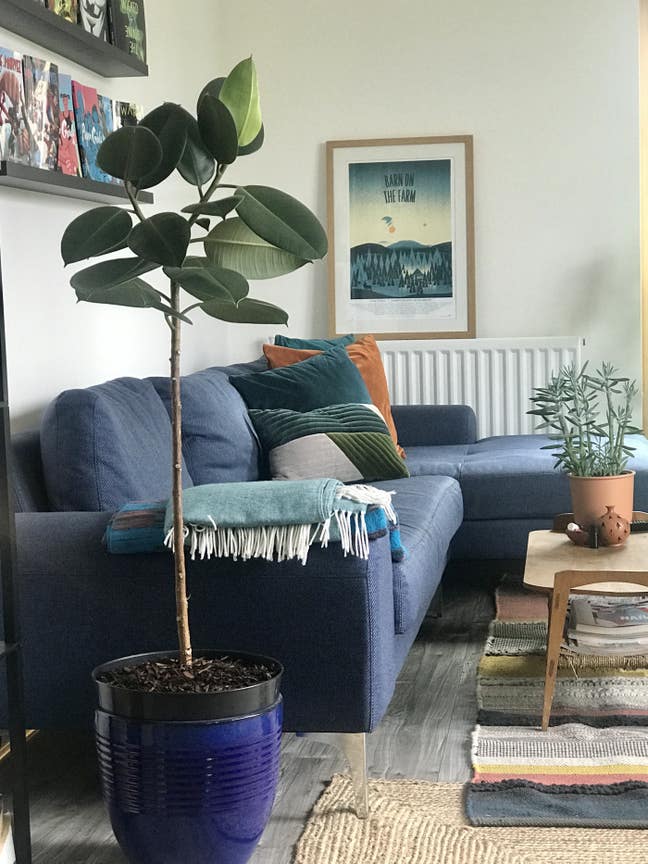 Single room near  Tower Bridge  and london bridge Main Photo