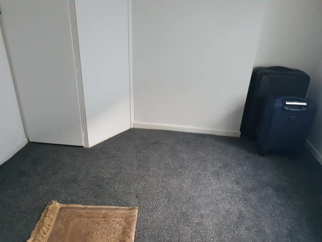 Sharing  house  with good human being Main Photo