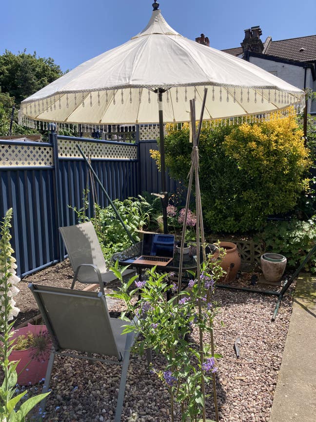 Room near Norwood Junction and Country Park Main Photo