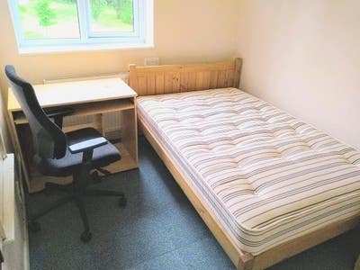 Nice Medium size Rm-Nr Uni & Local Shops  Main Photo