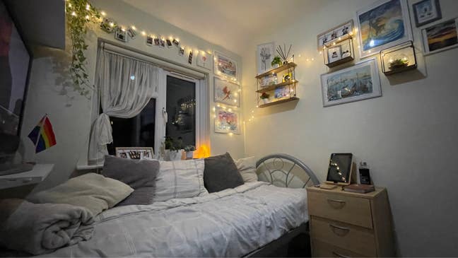 Cute single room, big house, big garden  Main Photo