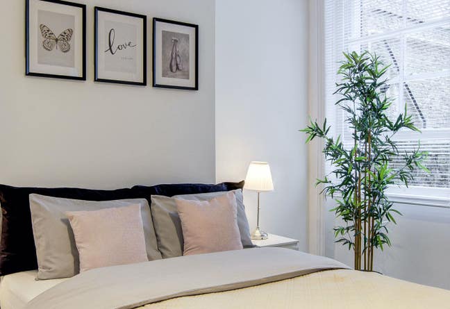2 bed garden flat in Fulham Main Photo