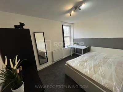 1 Room Available Opposite the Uni - Bills Inc Main Photo