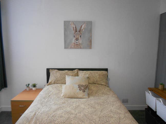 Double Room for single occupancy available Main Photo