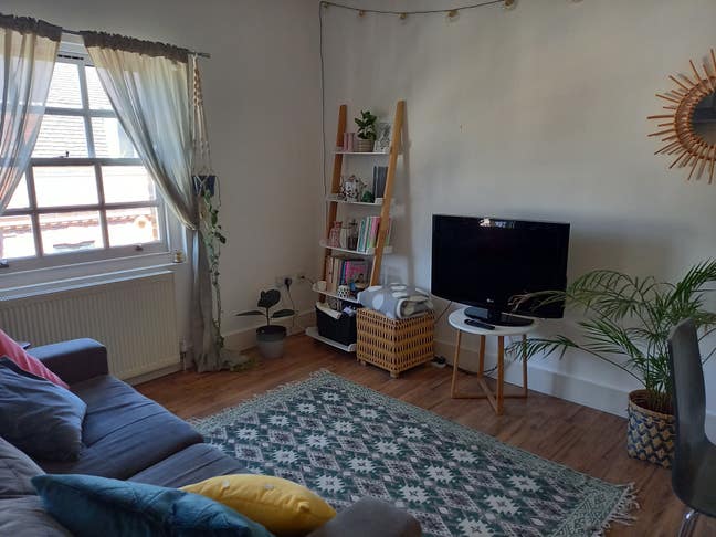 Double room in Stoke Newington  Main Photo