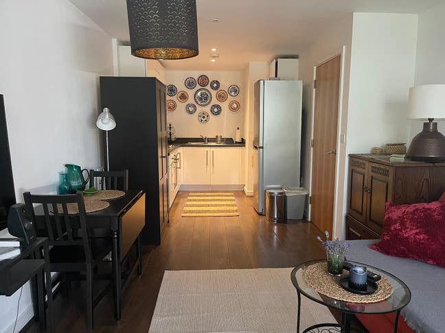 Lovely Studio Flat /occasional flatshare Main Photo
