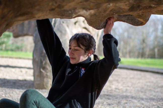 Young professional looking for a room. Main Photo