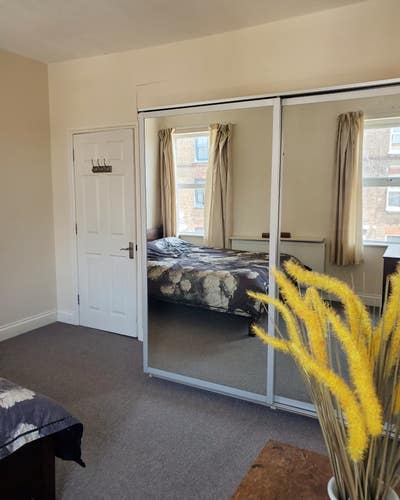 A calm and sunny vegan/veggie home (with ensuite) Main Photo