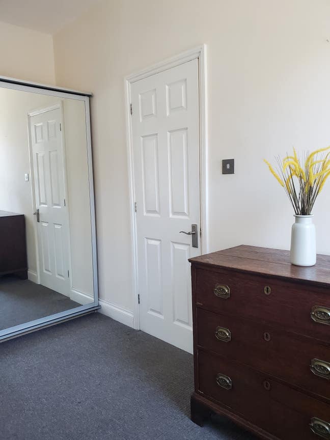 Ensuite room in sunny vegan/veggie home Main Photo