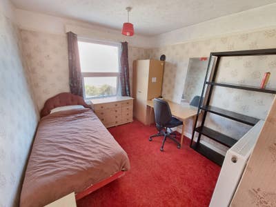 Room to let Main Photo