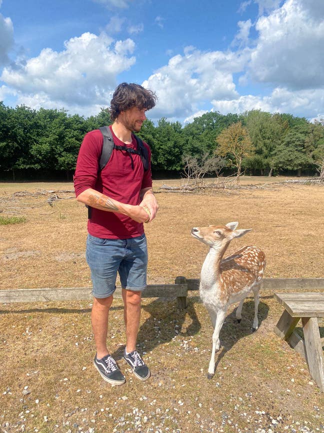 Looking for room in Exeter Main Photo