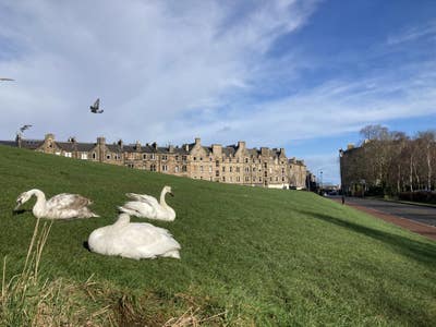 Lovely double room with park view Main Photo