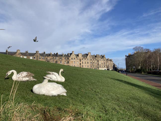 Lovely double room with park view Main Photo