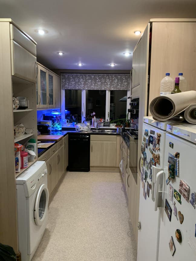 Landlady seeking friendly, cat loving lodger Main Photo