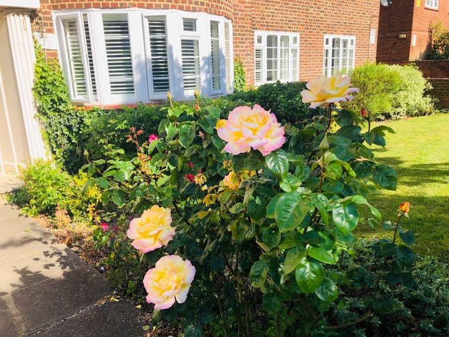 Sdouble Room & Private Bathroom **Bills Included** Main Photo