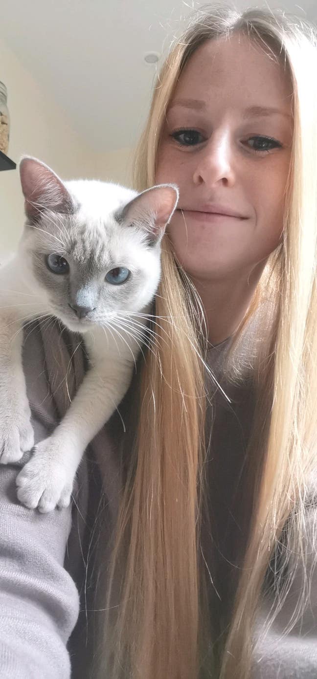 CAT friendly room wanted  Main Photo