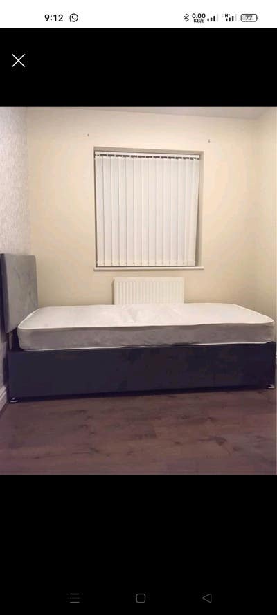 Single room available  Main Photo