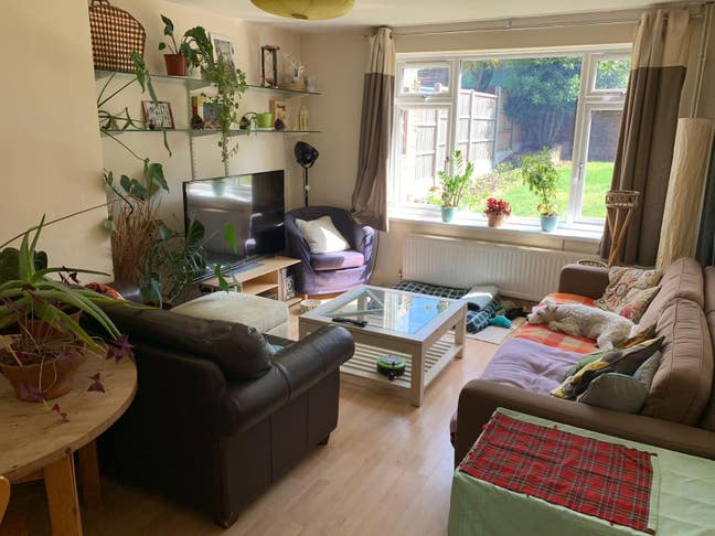 Friendly houseshare in Highbury  Main Photo