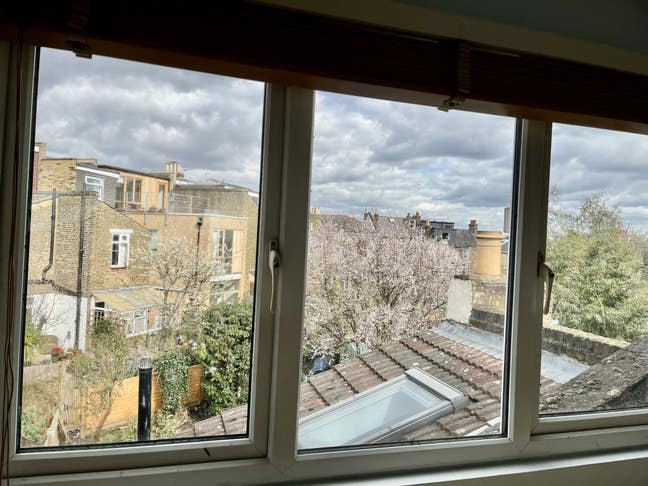 Expansive studio bedroom Main Photo