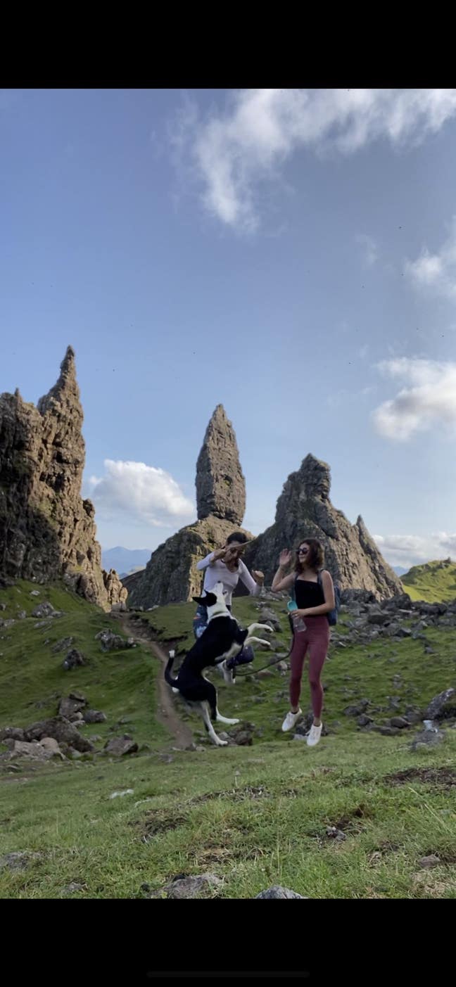 2 friends and a dog looking for a new home Main Photo