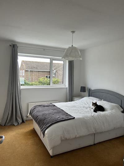 Spacious large double room near Castlepoint,  Main Photo