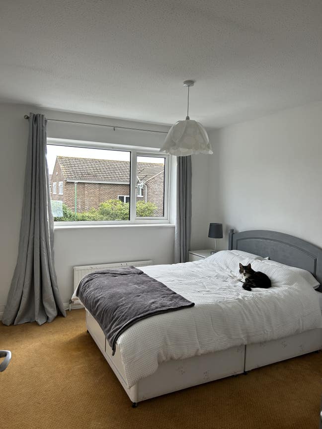 Spacious large double room near Castlepoint,  Main Photo