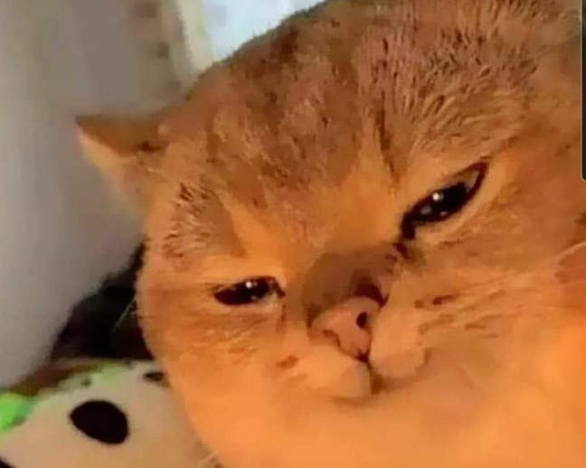 I am looking for a 1 bedroom flat or a studio. Main Photo