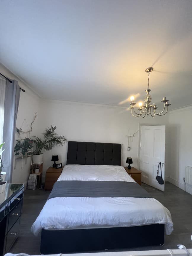 Double Room Available in Hove Main Photo