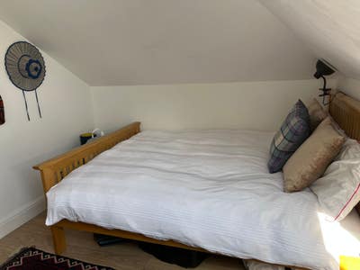 2 Dbl rooms Wood Green/ Alexandra Park Vegetarian Main Photo