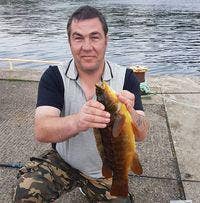 Looking for a cosy room big enough to swing a cat Main Photo