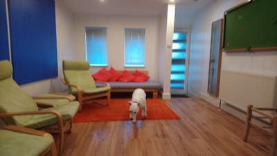 Open Plan 40+ Sq Meters Annex Main Photo