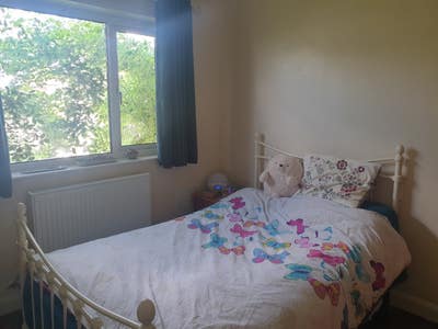 Double room available in great location Main Photo