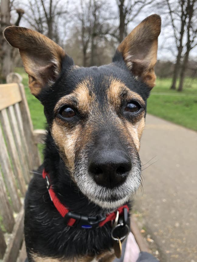 Newly Decorated Double Room for SINGLE female Main Photo